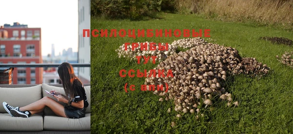 мескалин Бугульма