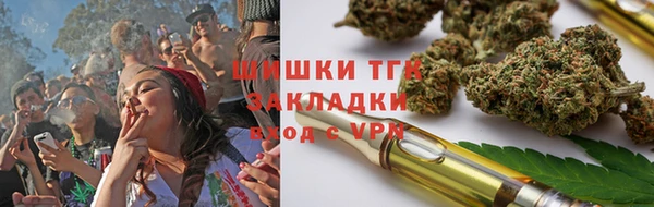 мдпв Бронницы